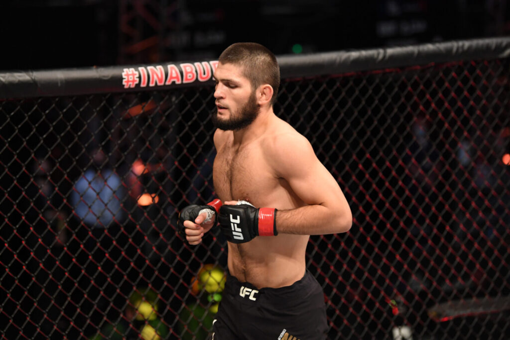 Khabib future